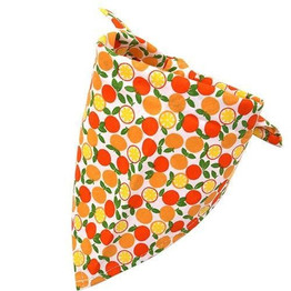 Orange Dog Bandana Fruit Print