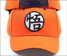 Dragon Warrior Training Snapback Hat/Cap
