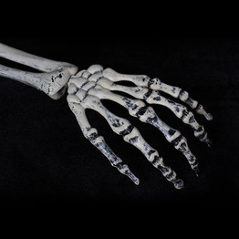 Horror Buried Skeleton Skull Garden Yard Lawn Halloween Party Decorations