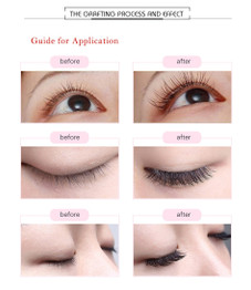 Eyelashes Extension