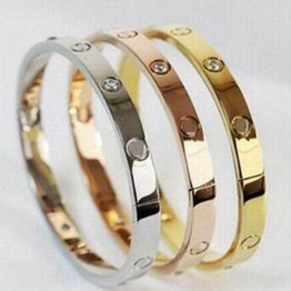 Crystal Rose Gold Silver Bracelet / Titanium Bangle