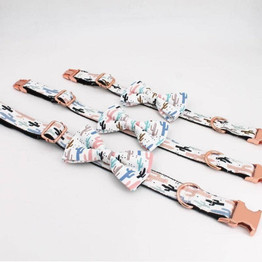 Cactus Bow-Tie Collar & Leash Set