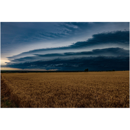Stormfront Fine Art Print