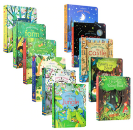 Usborne English Educational Picture Books