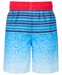 Dreamwave Toddler Boy Licensed Character Swim Trunk UPF 50