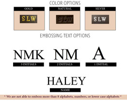 Charlee Leather Briefcase Laptop Messenger Bag