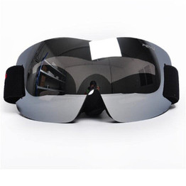 SARANTERM Ski/Snowboarding Goggles