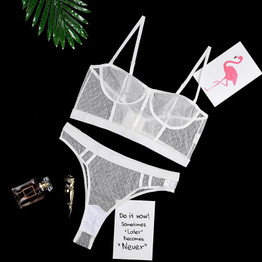 Sexy Lace Underwear Lingerie Set Women Bra Brief Sets Mesh Transparent Bra