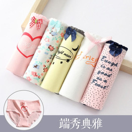 5 Pcs/set Women Underwear Cotton Sexy Everyday Ladies Girls Panties Plus Size Briefs Intimates Lingerie Knickers M-XXL