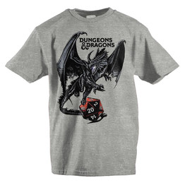 Dungeons and Dragons Youth Dragon & 20-Sided Die Tee