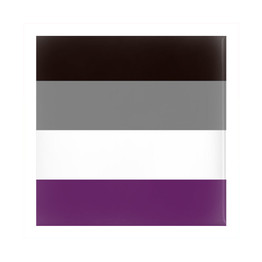 Asexual Pride Pinback Buttons