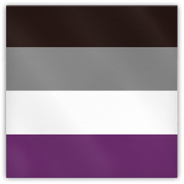 Asexual Pride Flag Magnet