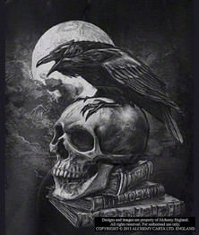 Poe's Raven Shirt, Alchemy Gothic