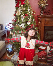 Plaid Christmas Tree Bell Sleeved Lace Christmas Dress