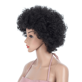 Cheap Short Big Afro Synthetic Hair Wigs For African Americans For Online Sale