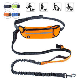 Hands Free Dog Running Leash