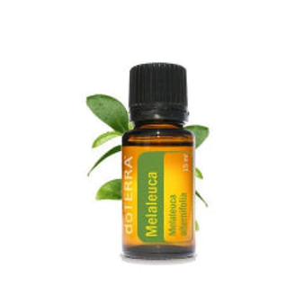 dōTERRA® Melaleuca Essential Oil