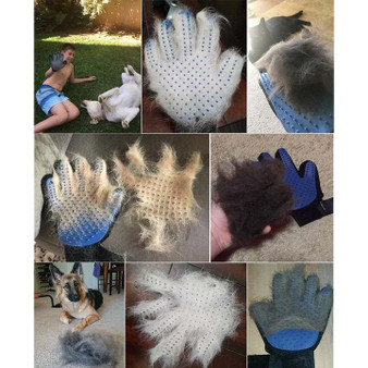 Grooming Glove