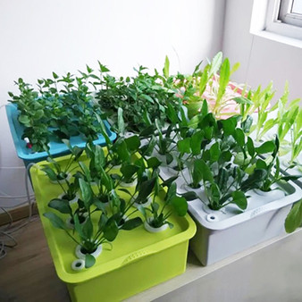 Indoor Hydroponic Garden Grow Kit