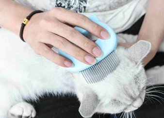 Kittycomb - Pet Hair Removal Comb