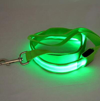 Nylon LED Light Up Dog/Cat Leash