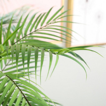 Green Palm Leaf Plastic Plants