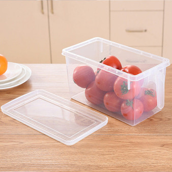 Container Refrigerator Storage Boxes