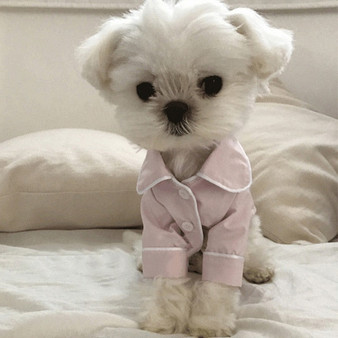 Luxury Dog Pajamas