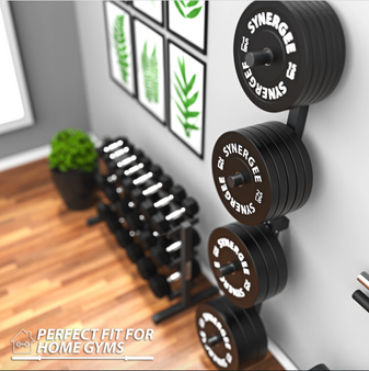 Synergee Weight Plate Wall Storage Rack