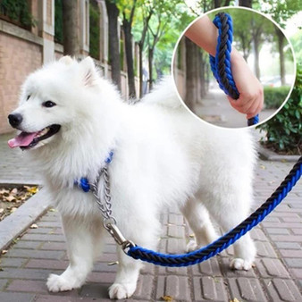 2019 New High Quality Upgraded Leash