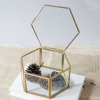 Hexagonal Terrarium Box