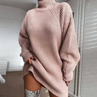 Amy Turtleneck Sweater Dress