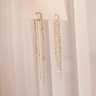 Golden Tassel Long Drop Earrings