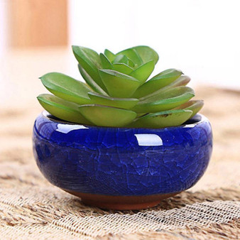 Vibrant Colors Small Ceramic Flower Pot Set