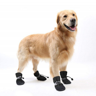 Black Blue Rose Red Best Dog Boots for Winter - Dog Shoes Great Dog Gifts