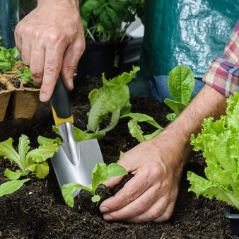 12 Pieces Heavy Duty Gardening Kit,  with Soft Rubberized Non-slip Handle.