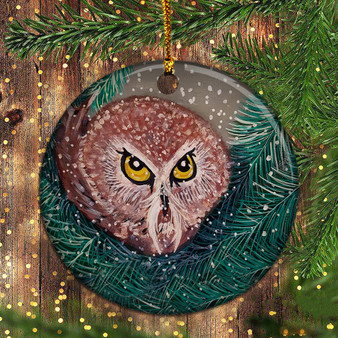 Owl Found In Rockefeller Tree Christmas Ornament Baby Owl Rockefeller Tree Best Ornament
