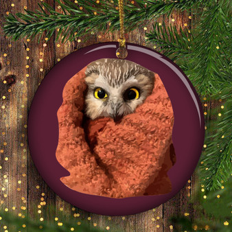 Rockefeller Owl Ornament Rockefeller Christmas Tree Lighting 2020 Outdoor Ornaments For Tree
