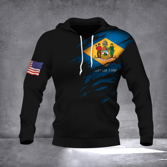 Delaware State Flag Hoodie Delaware State - American Flag Hoodie Christmas Gift For Bro