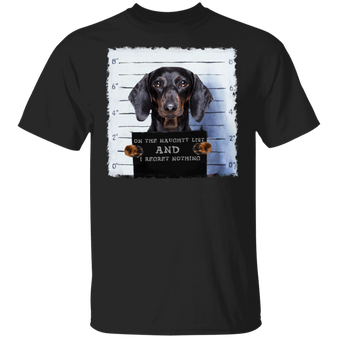 Dachshund Prison Shirt Funny Dog On The Naughty List Quote Tee Gifts For Dachshund Lovers