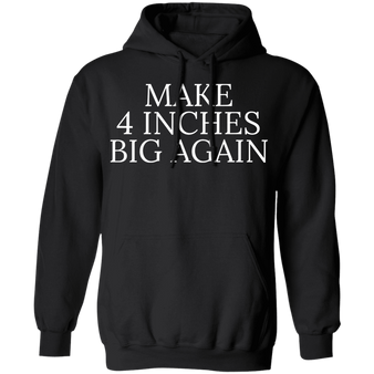 Make 4 Inches Big Again Hoodie Funny Sarcastic Merch Gift For Boyfriends
