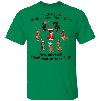 Dachshund I Don't Care What Anyone Think Of Me Shirt Dog With Christmas Accessories T-Shirt