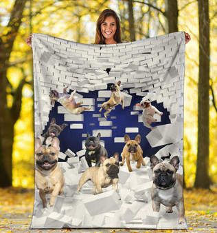 Frenchie Bulldog Wall Broken Blanket Cute Soft Blanket Frenchie For Bed Sofa Couch