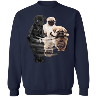 Three Pug Dogs Costume Looking Shadow Under Water Pug Sweater