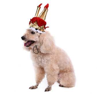 Cute Dog Birthday Hat