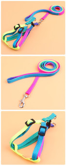 Adjustable Rainbow Dog Leash