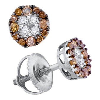 Earrings |  10kt White Gold Womens Round Brown Diamond Cluster Stud Earrings 1/3 Cttw |  Splendid Jewellery