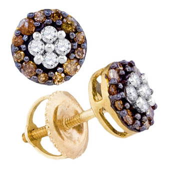 Earrings |  10kt Yellow Gold Womens Round Brown Diamond Cluster Earrings 1/3 Cttw |  Splendid Jewellery