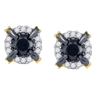 Earrings |  10kt Yellow Gold Womens Round Black Color Enhanced Diamond Stud Earrings 1 Cttw |  Splendid Jewellery