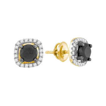 Earrings |  10kt Yellow Gold Womens Round Black Color Enhanced Diamond Solitaire Earrings 1-7/8 Cttw |  Splendid Jewellery